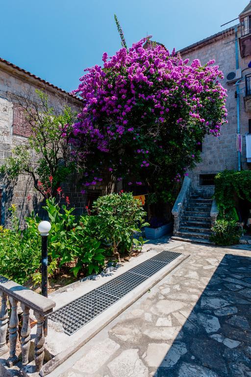 Celine'S Place By The Sea Kotor Exteriér fotografie